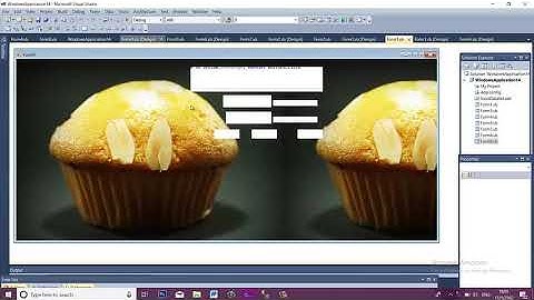 ระบบร้านขายอาหาร Visual Basic 2010 + Sql Server 2008 R2
