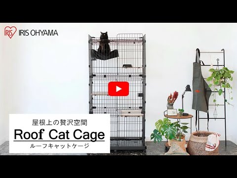 ルーフキャットケージ_283044 - YouTube