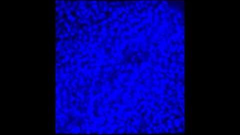 Noise modulation in retinoic acid signaling sharpens segmental boundaries of gene expression