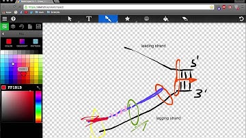 IBDP Topic 7.1 HL DNA Replication student explanation via screencast 1