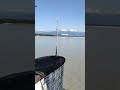 guys aaunus yakai chin India Ra Nepal KO border mahakali harum la