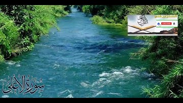 087 - Surah Al-Aala | سورة الأعلى | Relaxing Surah | @AlSanobarGhani