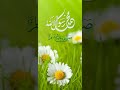 قلبٌ للحق تعلق وبغار حراء تألق❤