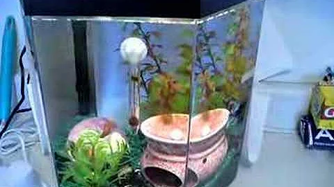 My Baby Fishie Blue