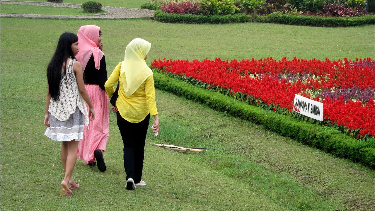 Taman  Bunga  Nusantara Flower Garden Cipanas West Java 