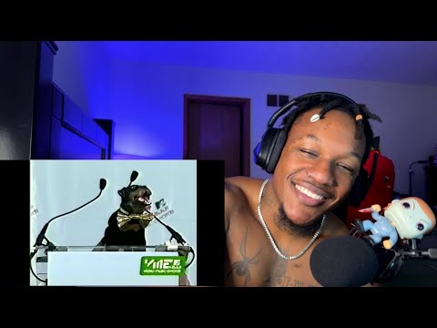 TRIUMPH  THE INSULT COMIC DOG IS WILDD | BRO IS CRAZY | REACTION!!