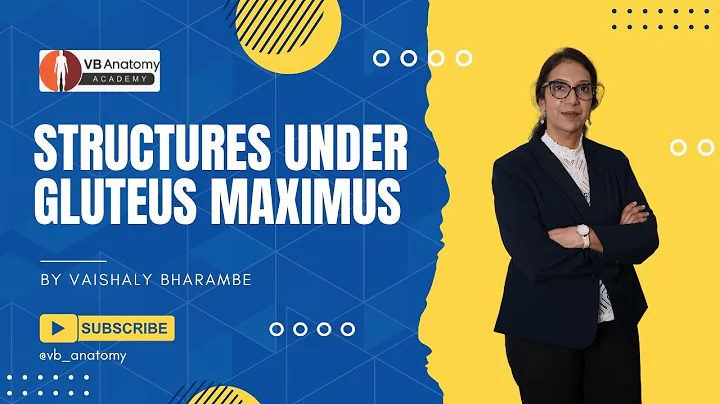 Structures Under the Gluteus Maximus | Easy Step-by-Step Anatomy Diagram