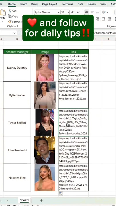 How to insert image in excel cell