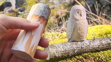 How to Find Fallen Branches for Whittling