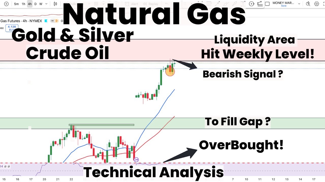 Natural Gas Hit Weekly Level | Bearish Signal? | Over-Bought ! | Gold ...