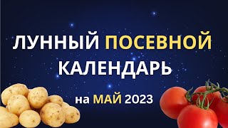 Благоприятные дни для посева: лунный календарь огородника на май 2023