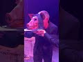 Creepy Kingdom Surprises Saw X Director with Custom Birthday Cake 🎂🐷