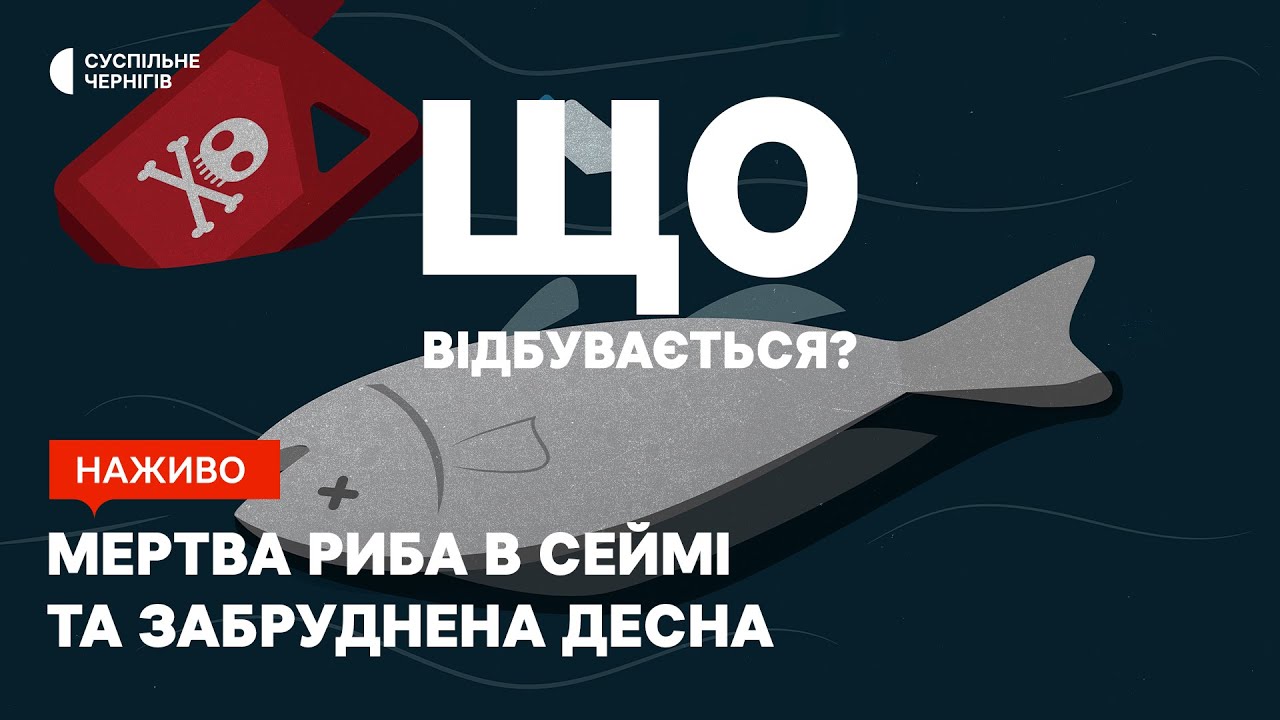 Мертва риба в Сеймі та забруднена Десна┃"ЩО ВІДБУВАЄТЬСЯ" - YouTube