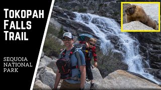 Tokopah Falls Trail | Sequoia National Park