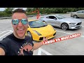 GUY in a 2020 Mustang Says He Can BEAT My Lamborghni!!! Ft. CALLING The High Country WINNER!