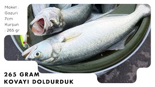 265 GRAM Kurşun Arkası Çinekop / Sarıkanat Balık AVI | GAZURİ SHOW YAPTI