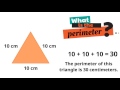 Understanding Perimeter