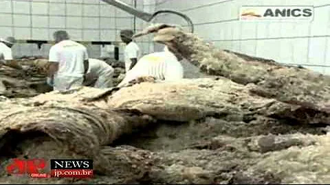 Como é feita a carne seca?