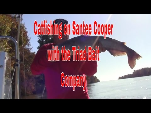Video Catfishing magazines