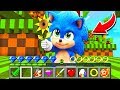 How to play SONIC THE HEDGEHOG MOVIE in Minecraft! Challenge NOOB VS PRO Funny Animation Real Life