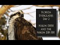 Florida Everglades Day 2 -  Nikon D850