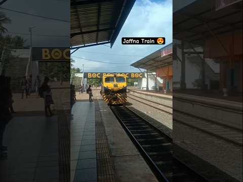 Colombo To Jaffna Train ය ල ද ව Yal Devi Train Jaffna Train Jaffnatravel 
