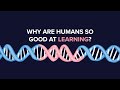 Why are Humans So Good at Learning?