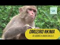 OMUZIRO NKIMA ABEDDIRA ENKIMA OMUZIRO NKIMA ABEDDIRA ENKIMA