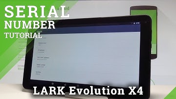 How to Enter Satus Info on LARK Evolution X4 - Check Serial Number |HardReset.Info