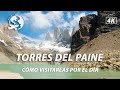 Torres del Paine | Cómo llegar y visitar por el día