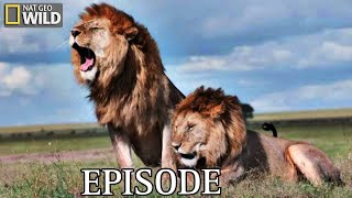 Uprising: Lion King Slayers | Bloody Wars in the Pride (Full Episode) | Savage Kingdom