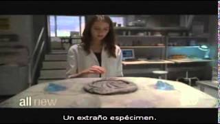 5x15 Angel - Un Orificio en el Mundo [Promo Subtitulada]