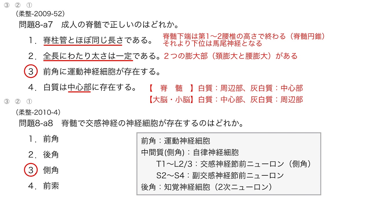 解剖学 国試演習 8 2 神経系 脊髄 徹底的解剖学