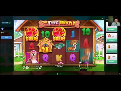 Casino Игорный дом Slotozal надежный портал для диалоговый-забавы