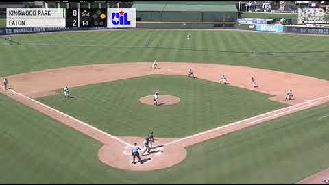 Batter interference. NFHS UIL State Tournament.