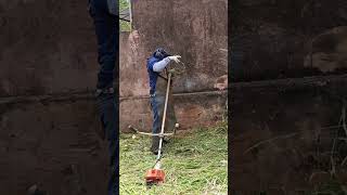 Roçando Com Nylon Nos Cantos Do Muro.ça Çadeira