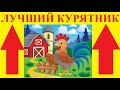 СОВРЕМЕННЫЙ КУРЯТНИК СВОИМИ РУКАМИ часть 1.