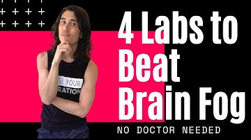 4 Labs to Uncover Your Brain Fog and Chronic Fatigue Root Cause