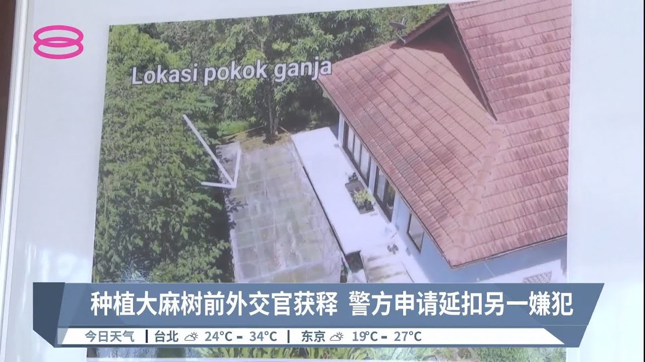种植大麻树前外交官获释警方申请延扣另一嫌犯 22 05 29 八度空间午间新闻 Youtube