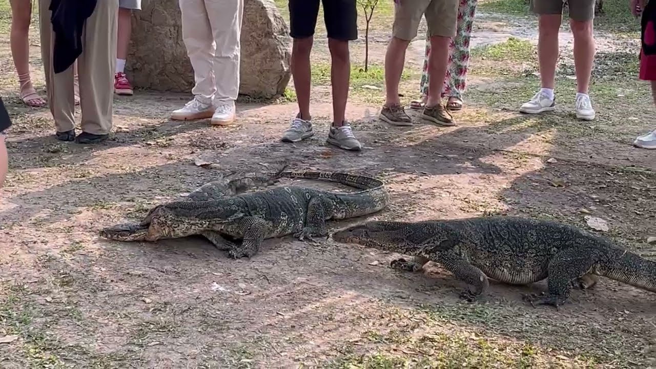 Lumphini Park Bangkok สวนลุมพินี 2026
