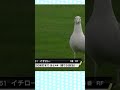 イチロー鳥になる🐦 #ゆっくり解説 #2ちゃんまとめ