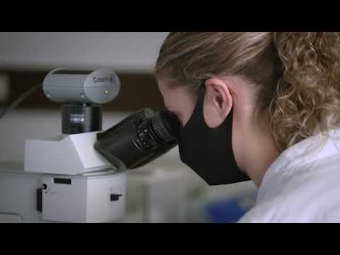 RENA Technologies Germany,