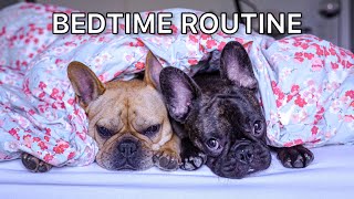 My Dogs Special Bedtime Routine by Isa, Hugo & Tom French Bulldog 56,357 views 2 years ago 11 minutes, 21 seconds