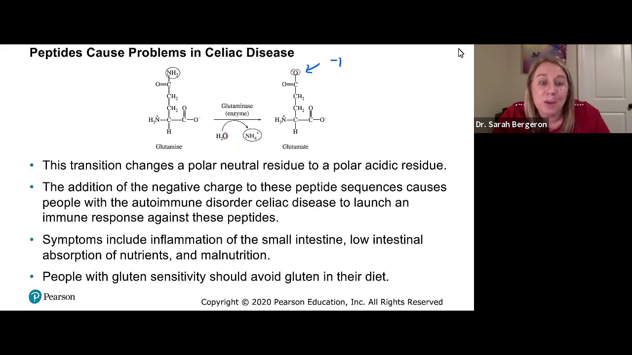 Chem 109 Chapter 10 Section 2 Pre recorded Lecture - YouTube
