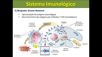 Como a imunologia serve a humanidade?