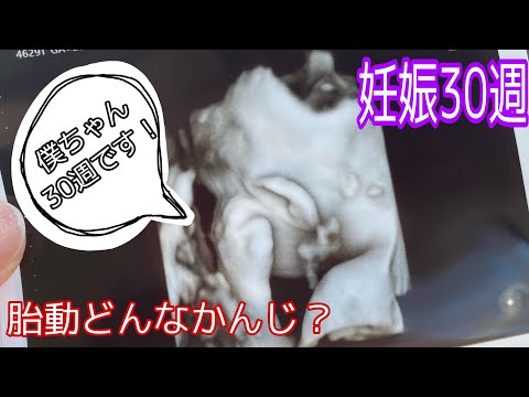 【妊娠30週】30代初産！30週の胎動てどんな感じ？？