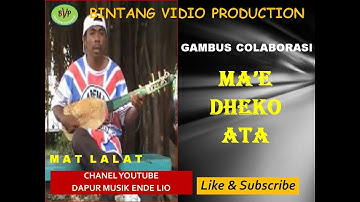 GAMBUS ENDE COLABORASI // MA