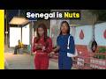 You Won T Believe Dakar Senegal Nightlife In 2025 You Won T Believe Dakar Senegal Nightlife In 2025