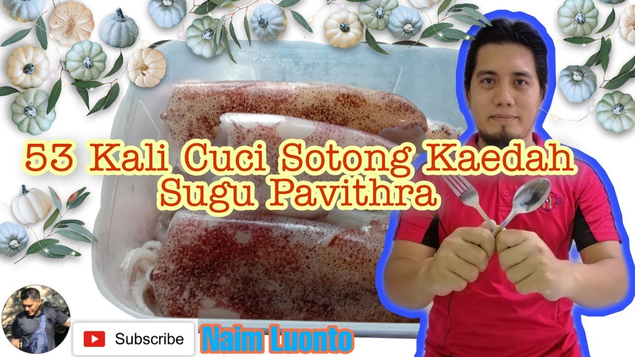 Cara Mencuci Sotong Sugu Pavithra 