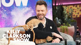 Kittens Hilariously Take Over Joel McHale's Interview With Kelly Clarkson
